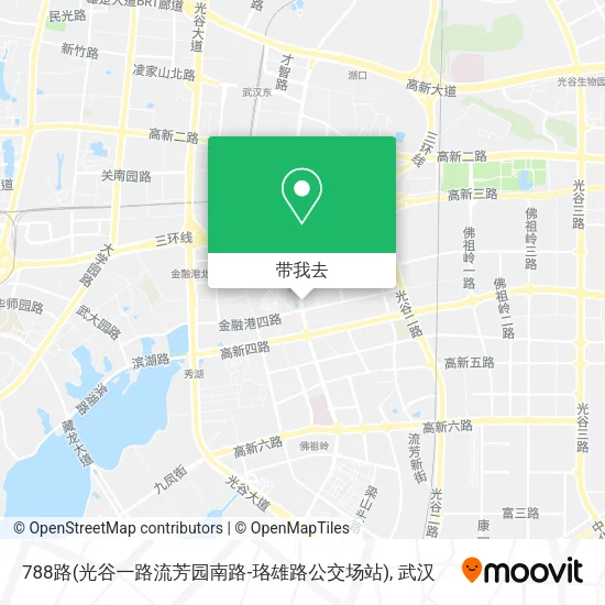 788路(光谷一路流芳园南路-珞雄路公交场站)地图