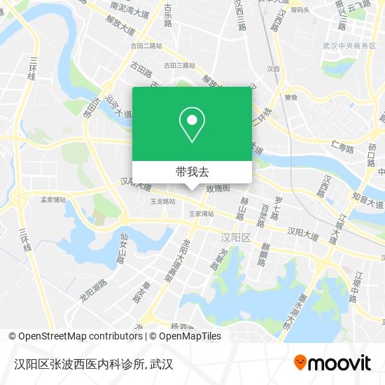 汉阳区张波西医内科诊所地图