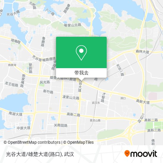 光谷大道/雄楚大道(路口)地图