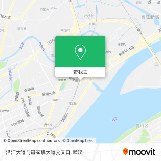 沿江大道与谌家矶大道交叉口地图