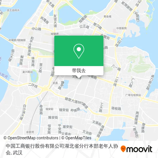 中国工商银行股份有限公司湖北省分行本部老年人协会地图