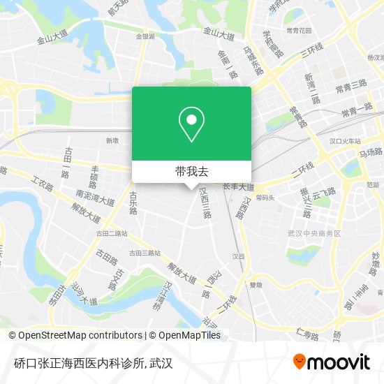 硚口张正海西医内科诊所地图