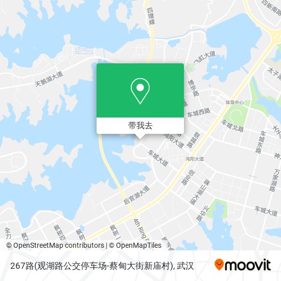 267路(观湖路公交停车场-蔡甸大街新庙村)地图