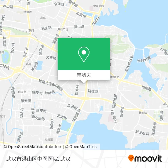 武汉市洪山区中医医院地图