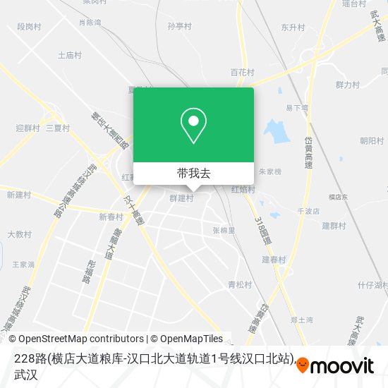 228路(横店大道粮库-汉口北大道轨道1号线汉口北站)地图