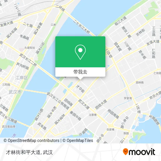 才林街和平大道地图