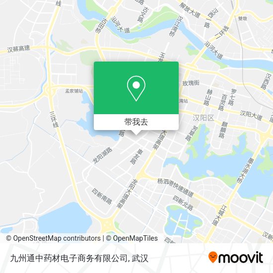 九州通中药材电子商务有限公司地图