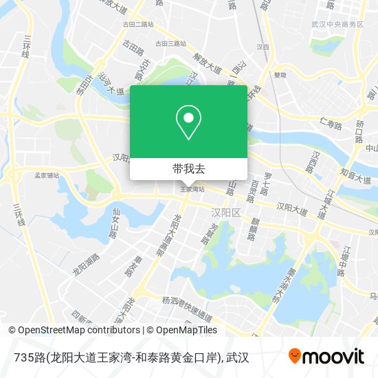 735路(龙阳大道王家湾-和泰路黄金口岸)地图
