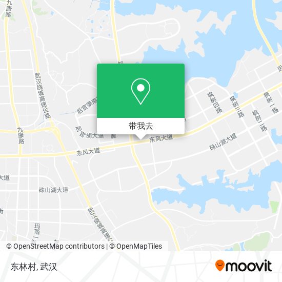 东林村地图