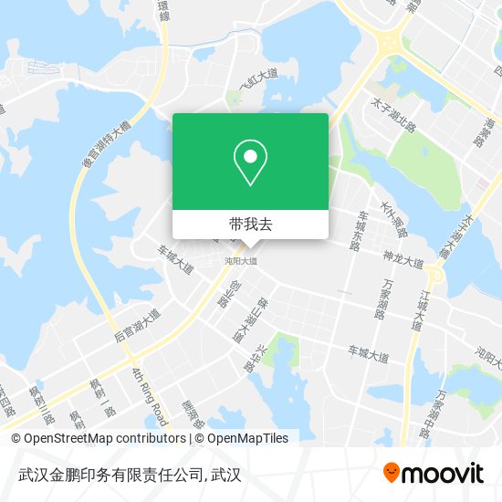 武汉金鹏印务有限责任公司地图