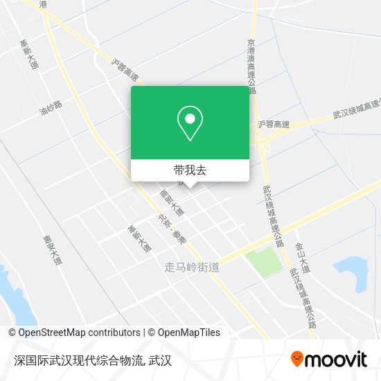 深国际武汉现代综合物流地图