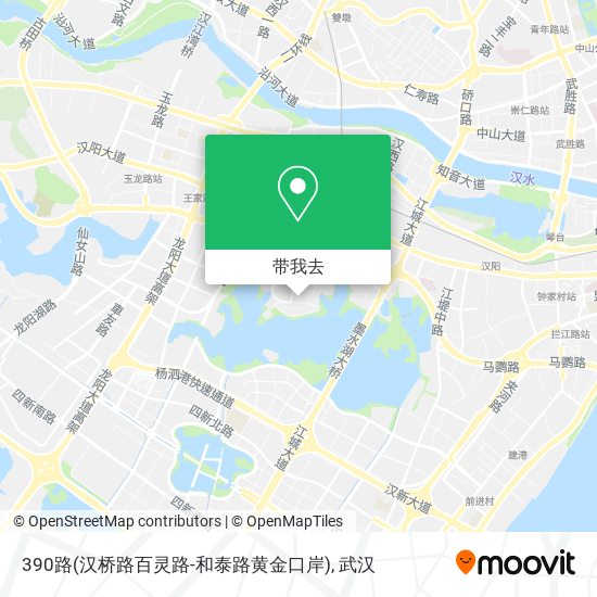 390路(汉桥路百灵路-和泰路黄金口岸)地图