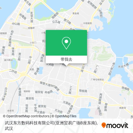 武汉东方数码科技有限公司(亚洲贸易广场B座东南)地图