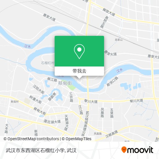 武汉市东西湖区石榴红小学地图