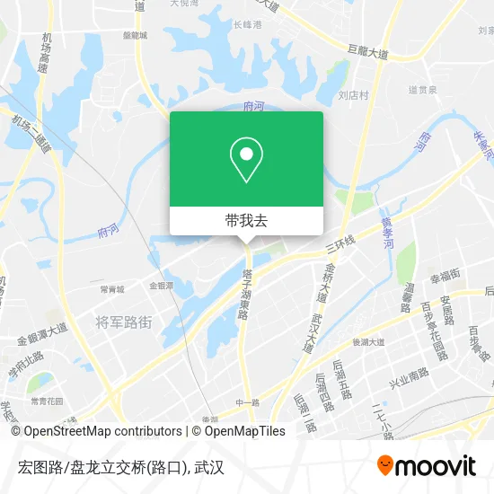 宏图路/盘龙立交桥(路口)地图