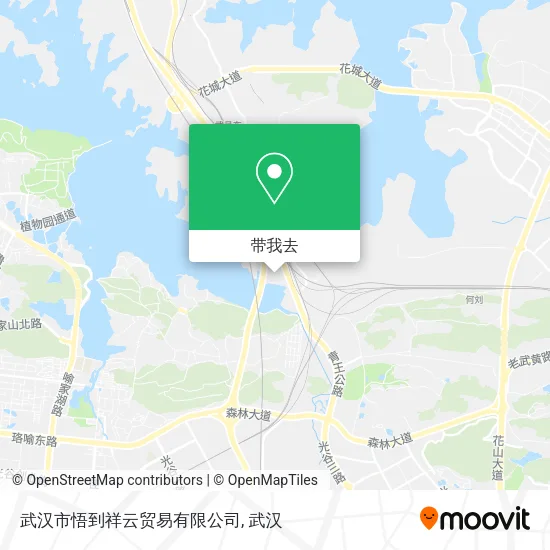 武汉市悟到祥云贸易有限公司地图