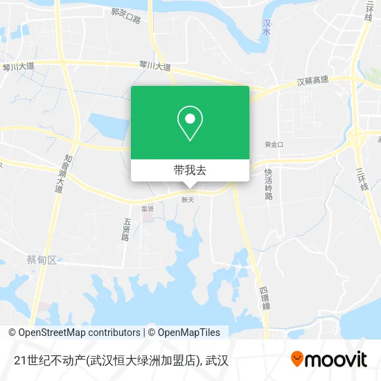 21世纪不动产(武汉恒大绿洲加盟店)地图