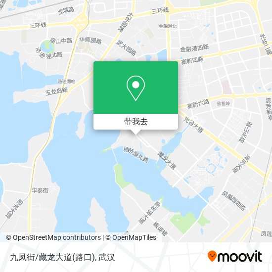 九凤街/藏龙大道(路口)地图