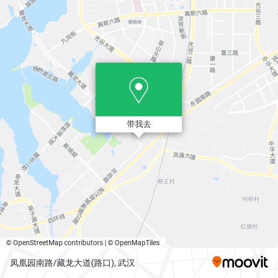 凤凰园南路/藏龙大道(路口)地图