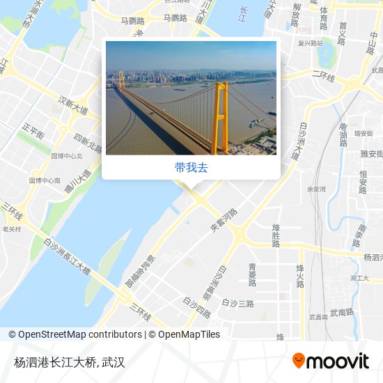 杨泗港长江大桥地图