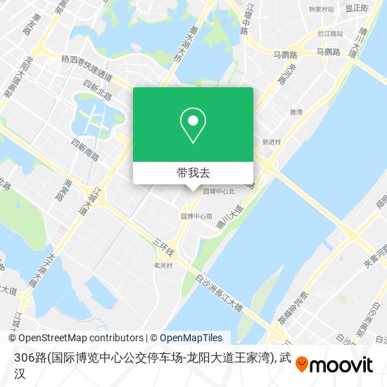 306路(国际博览中心公交停车场-龙阳大道王家湾)地图