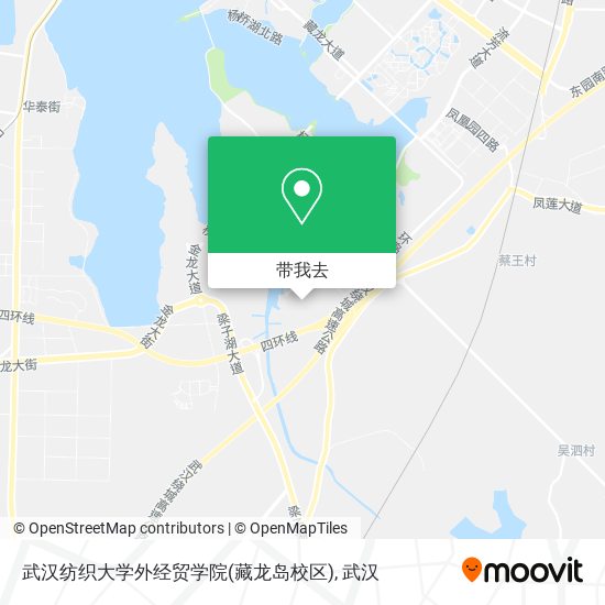 武汉纺织大学外经贸学院(藏龙岛校区)地图