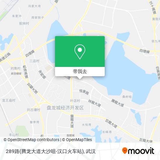 289路(腾龙大道大沙咀-汉口火车站)地图