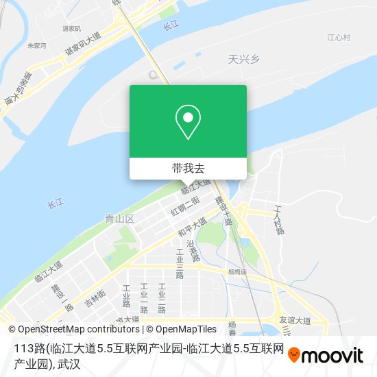 113路(临江大道5.5互联网产业园-临江大道5.5互联网产业园)地图