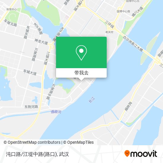 沌口路/江堤中路(路口)地图