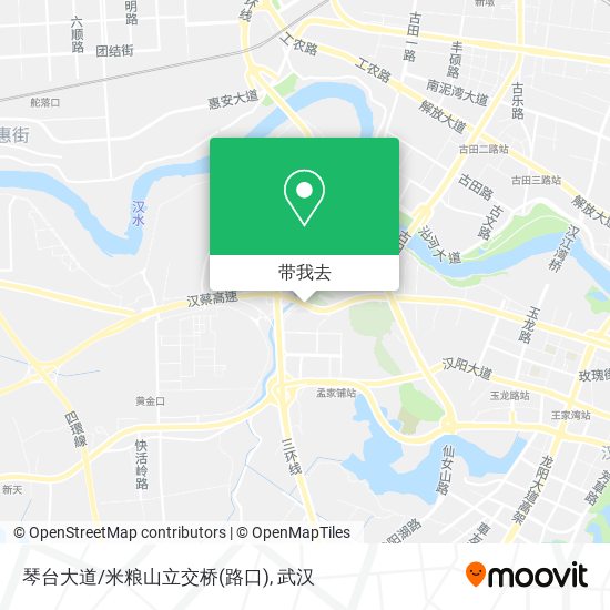 琴台大道/米粮山立交桥(路口)地图