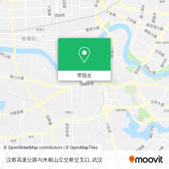 汉蔡高速公路与米粮山立交桥交叉口地图