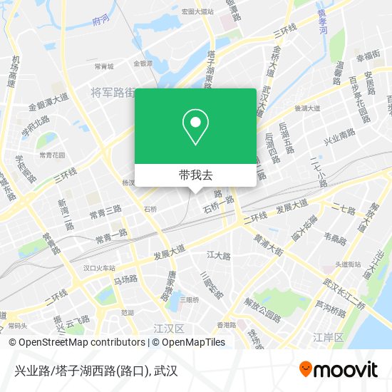 兴业路/塔子湖西路(路口)地图