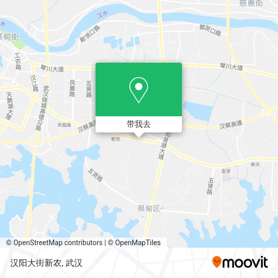 汉阳大街新农地图