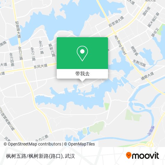 枫树五路/枫树新路(路口)地图