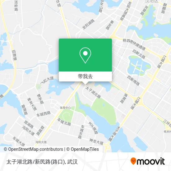 太子湖北路/新民路(路口)地图