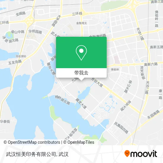 武汉恒美印务有限公司地图