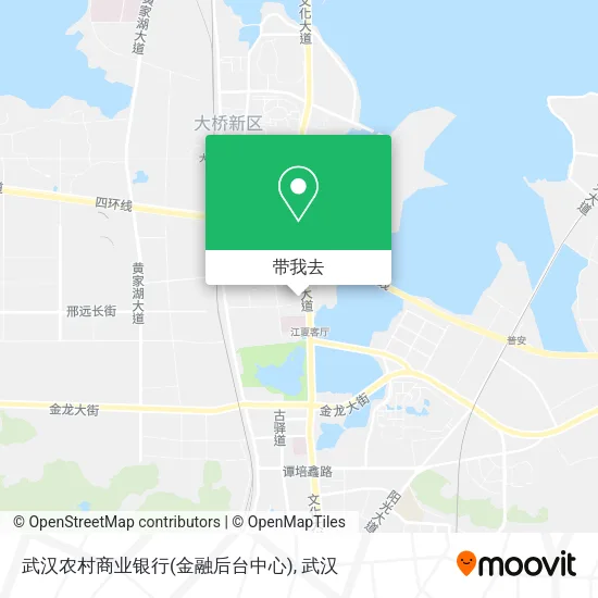 武汉农村商业银行(金融后台中心)地图
