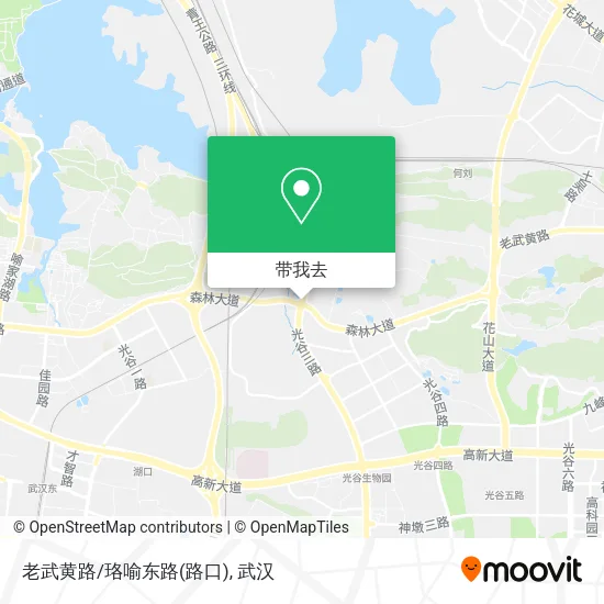 老武黄路/珞喻东路(路口)地图
