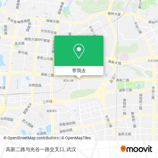 高新二路与光谷一路交叉口地图