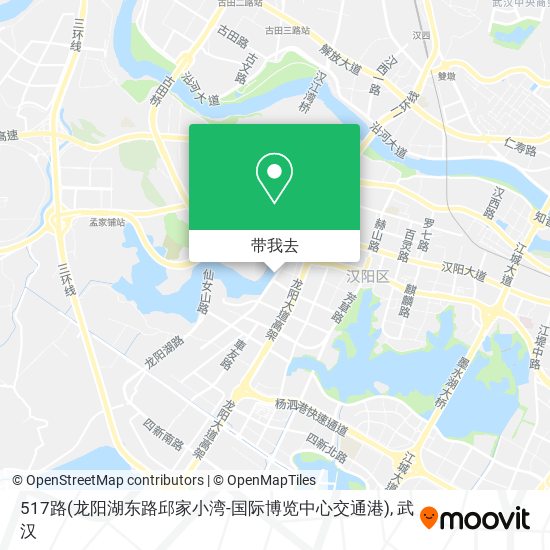 517路(龙阳湖东路邱家小湾-国际博览中心交通港)地图