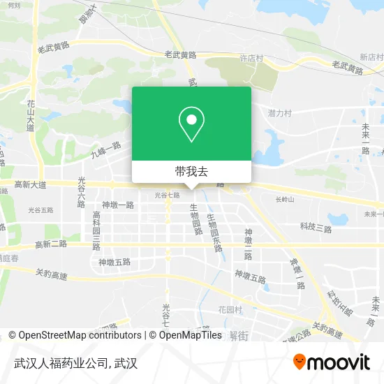武汉人福药业公司地图