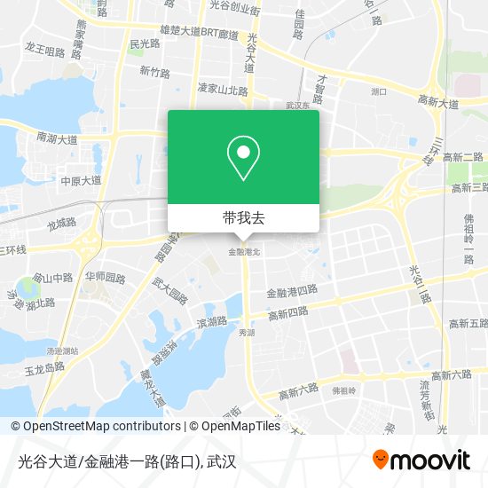 光谷大道/金融港一路(路口)地图