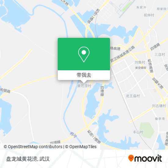 盘龙城黄花涝地图