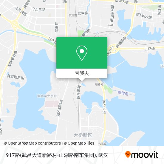 917路(武昌大道新路村-山湖路南车集团)地图