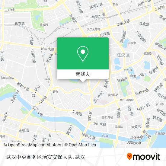 武汉中央商务区治安安保大队地图