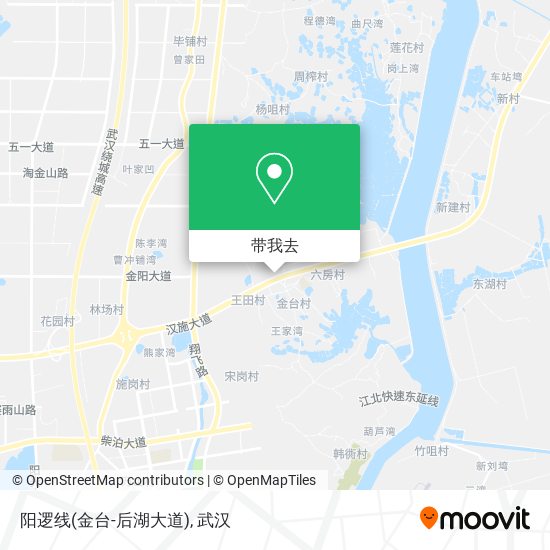 阳逻线(金台-后湖大道)地图