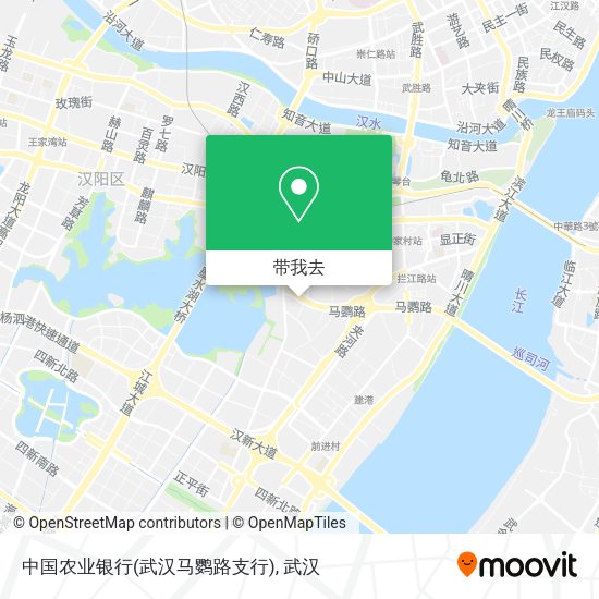 中国农业银行(武汉马鹦路支行)地图