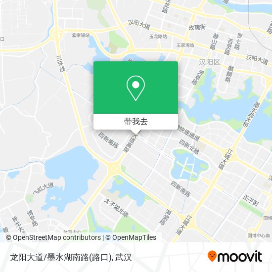 龙阳大道/墨水湖南路(路口)地图