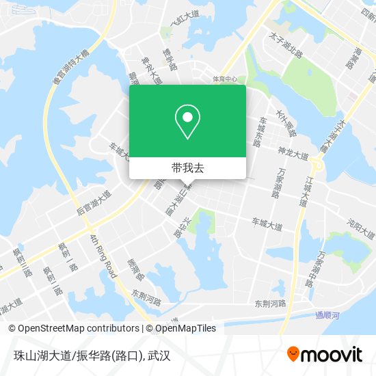 珠山湖大道/振华路(路口)地图