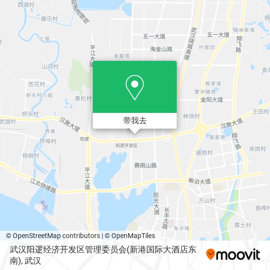 武汉阳逻经济开发区管理委员会(新港国际大酒店东南)地图